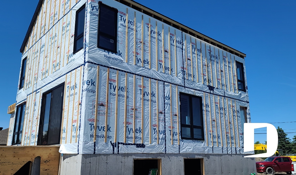 Photo back - Sequoia 3