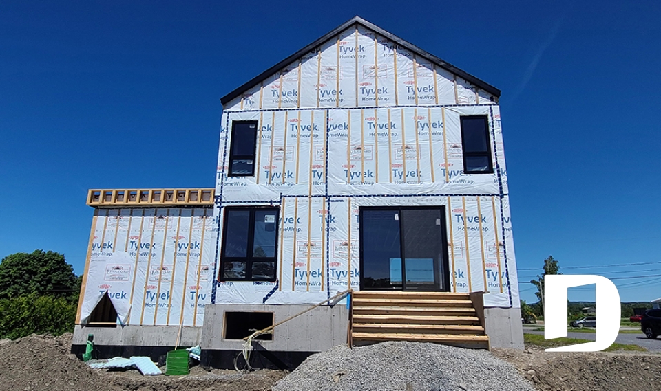 Photo back - Sequoia 3