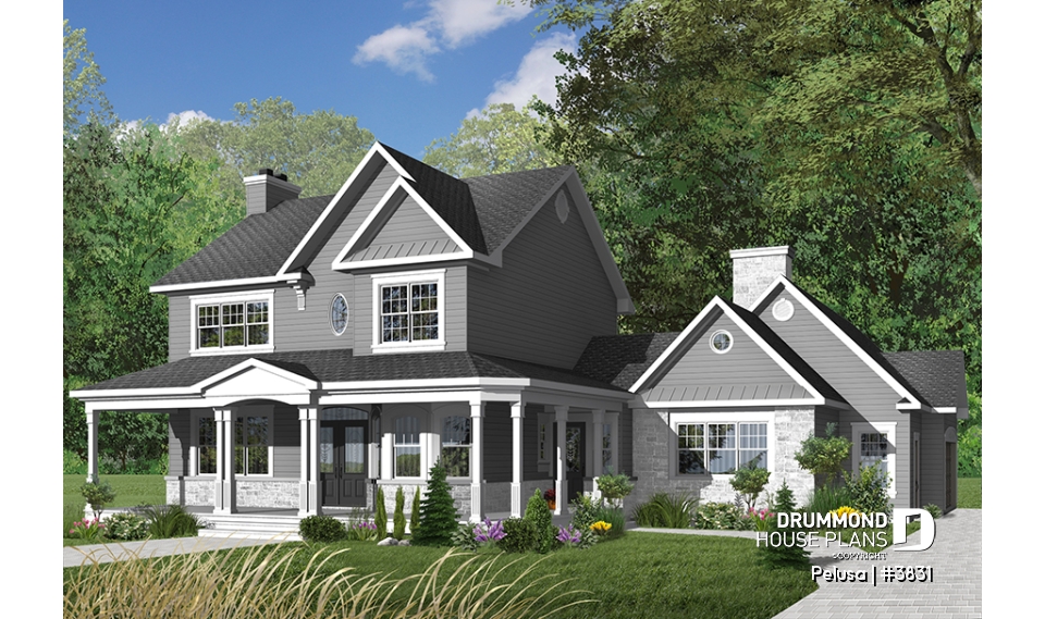 Color version 2 - Front - Pelusa