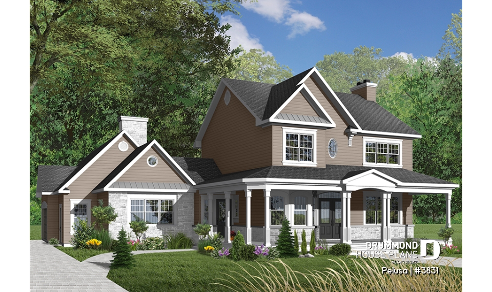 Color version 3 - Front - Pelusa