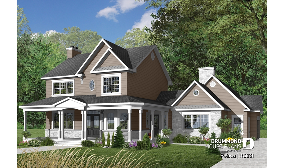 Color version 3 - Front - Pelusa