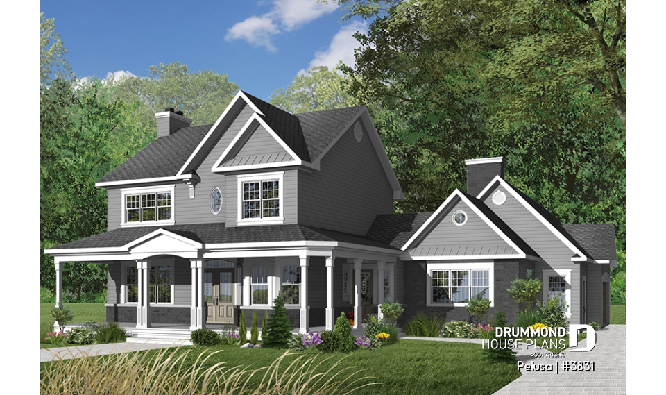 Color version 4 - Front - Pelusa