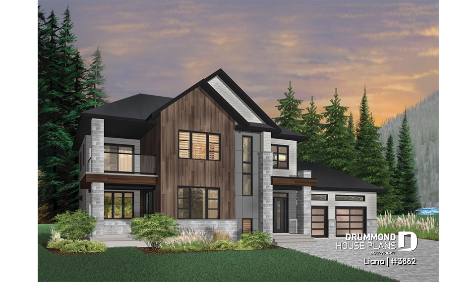 Color version 2 - Front - Liana