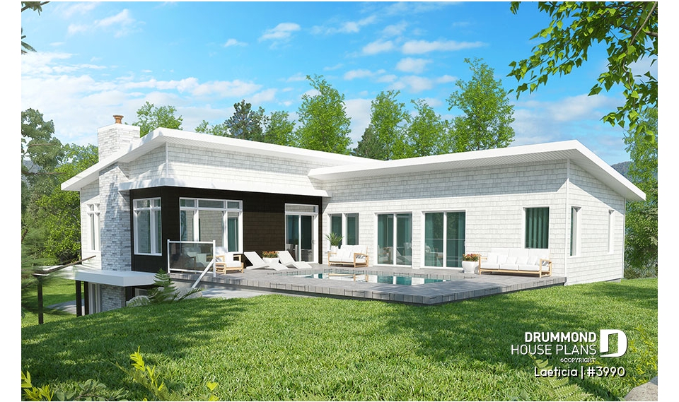 Color version 2 - Rear - Laeticia