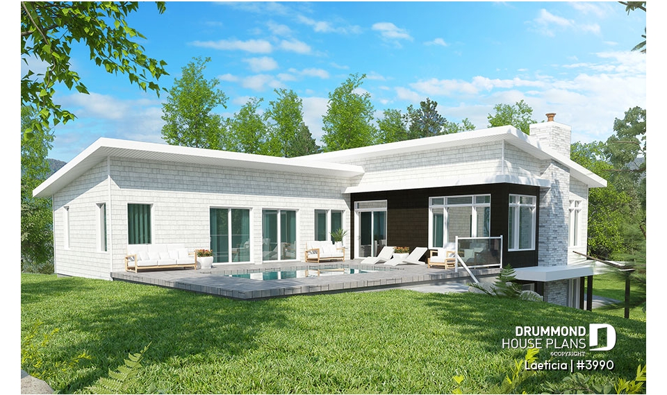 Color version 2 - Rear - Laeticia