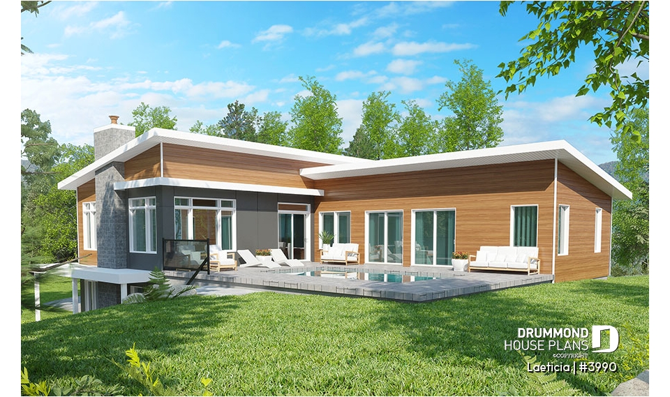 Color version 3 - Rear - Laeticia