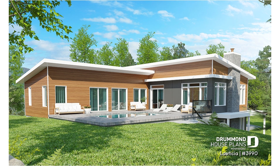 Color version 3 - Rear - Laeticia