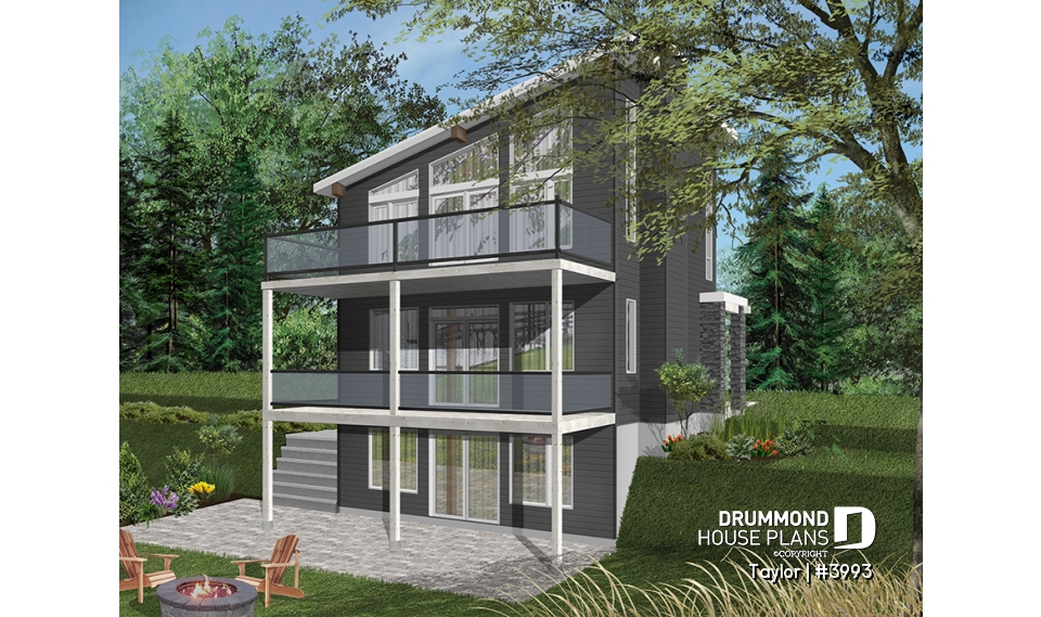 Color version 3 - Rear - Taylor