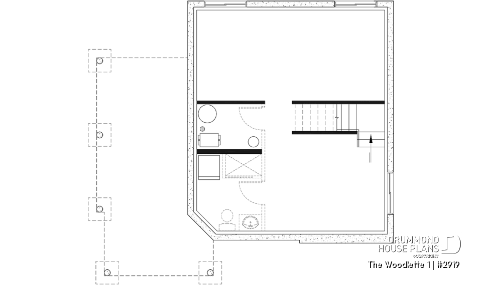 Basement - 2 to 3 bedroom affordable modern style house plan, lots of natural light, cathedral ceiling + mezzanine - The Woodlette 1