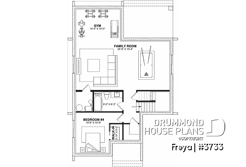 Finished basement (Optional $) -  - Freya