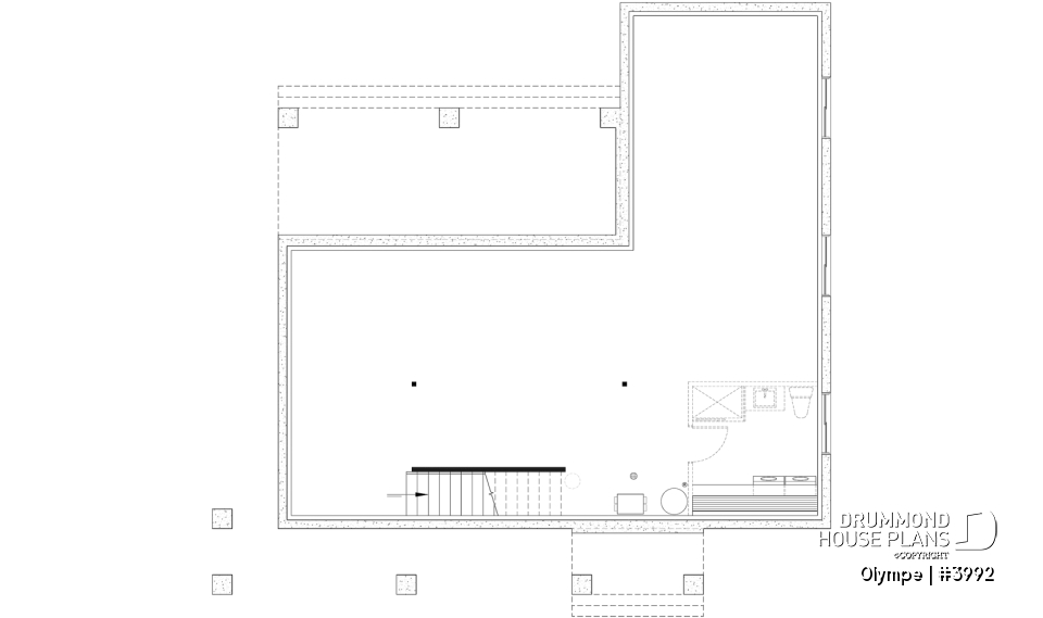 Unfinished basement - Modern Scandinavian house plan, cathedral ceiling w/exposed wood beams, open floor plan, outdoor kitchen - Olympe