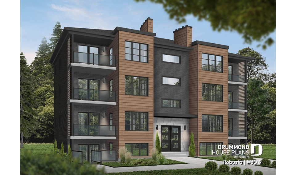 Color version 1 - Front - Robusta