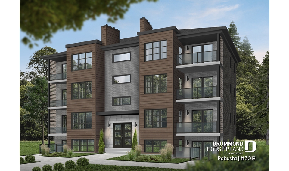 Color version 2 - Front - Robusta