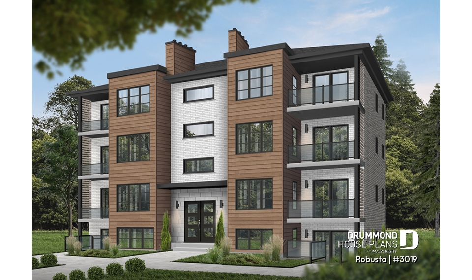 Color version 3 - Front - Robusta