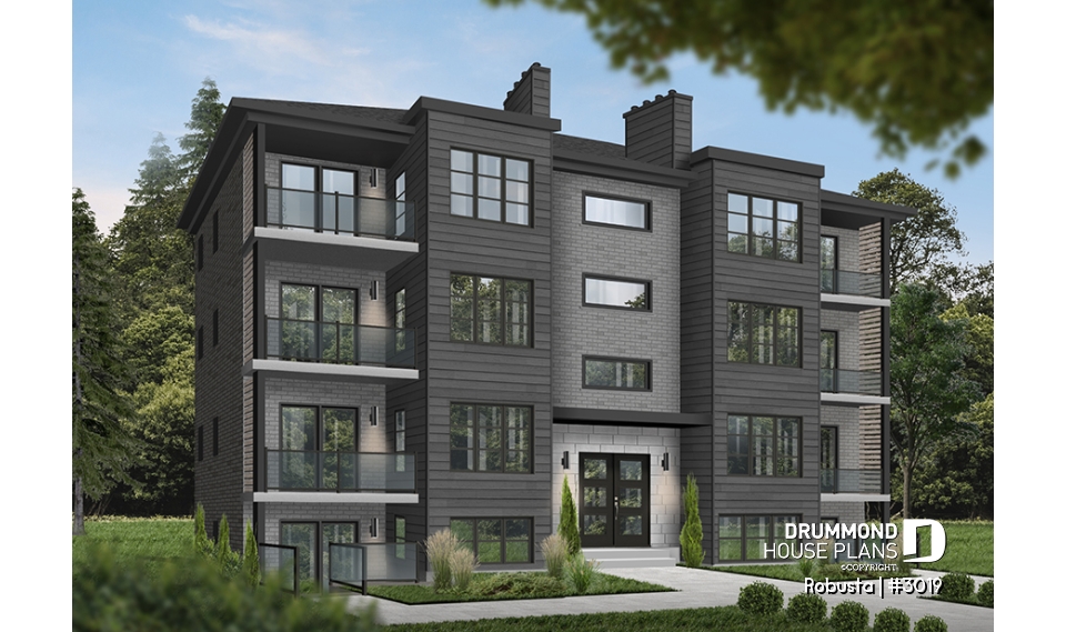 Color version 4 - Front - Robusta