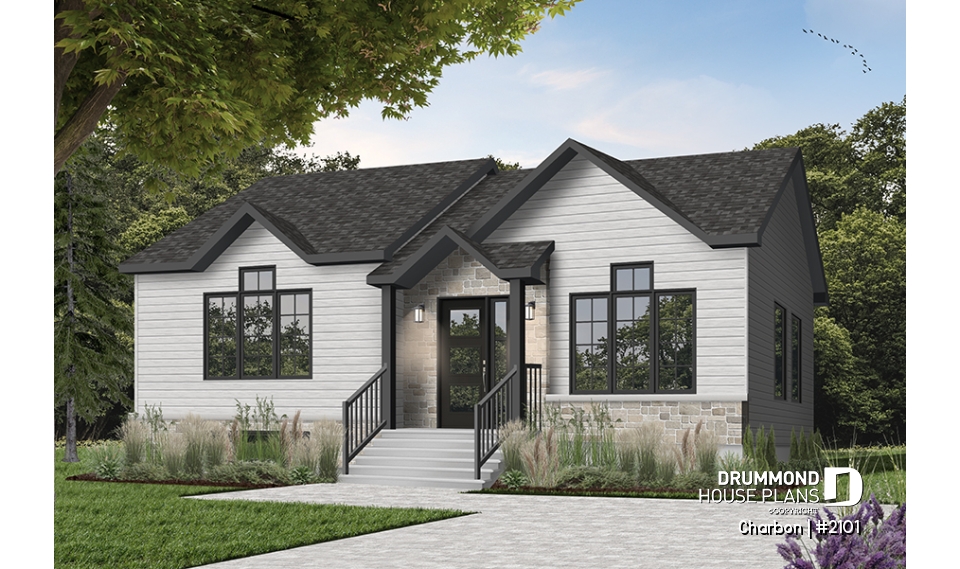 Color version 1 - Front - Charbon