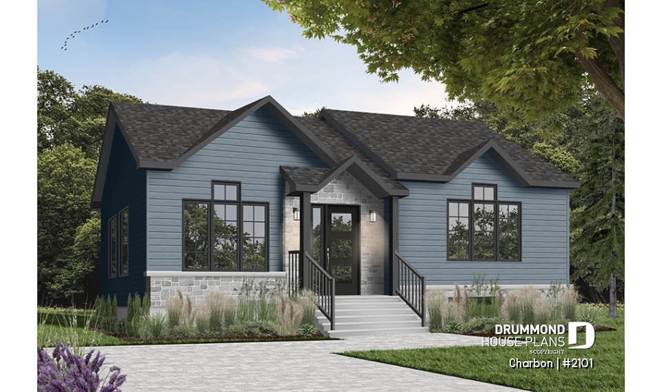 Color version 3 - Front - Charbon