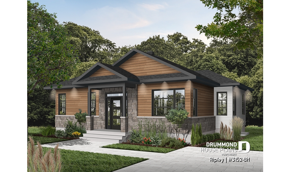 Color version 1 - Front - Ripley