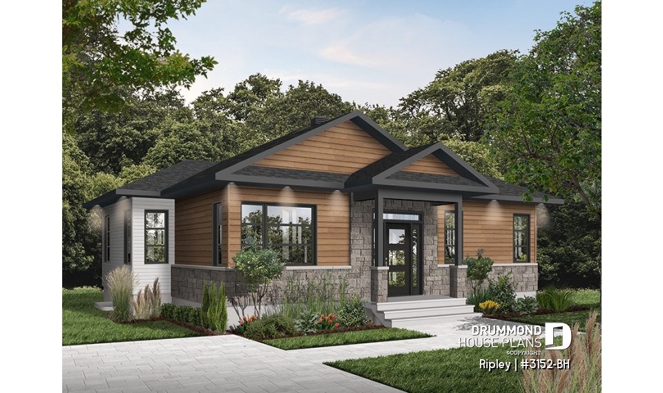 Color version 1 - Front - Ripley