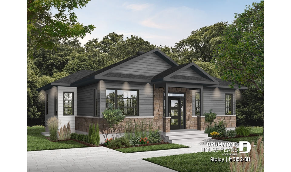 Color version 2 - Front - Ripley