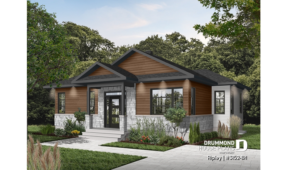 Color version 3 - Front - Ripley