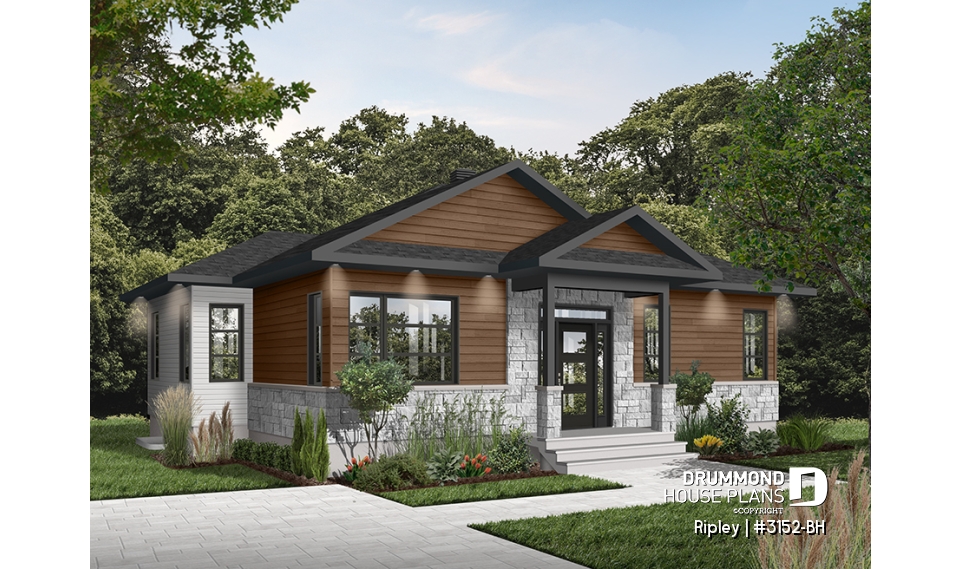 Color version 3 - Front - Ripley