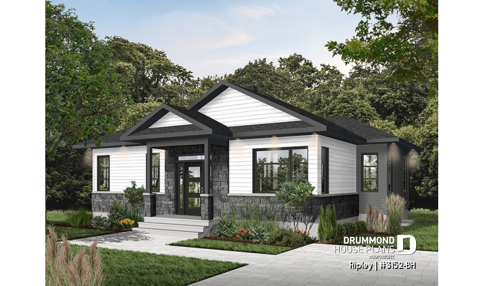 Color version 4 - Front - Ripley