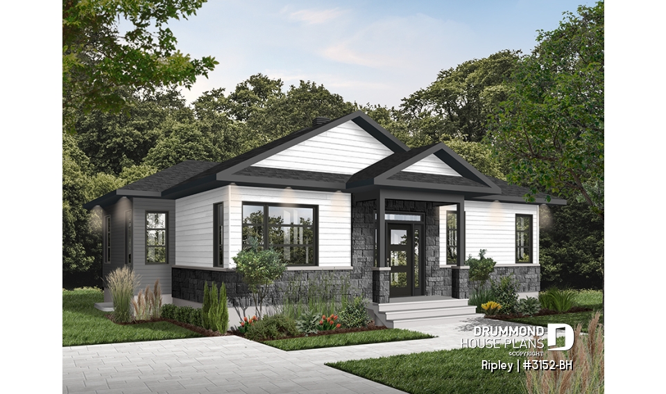 Color version 4 - Front - Ripley